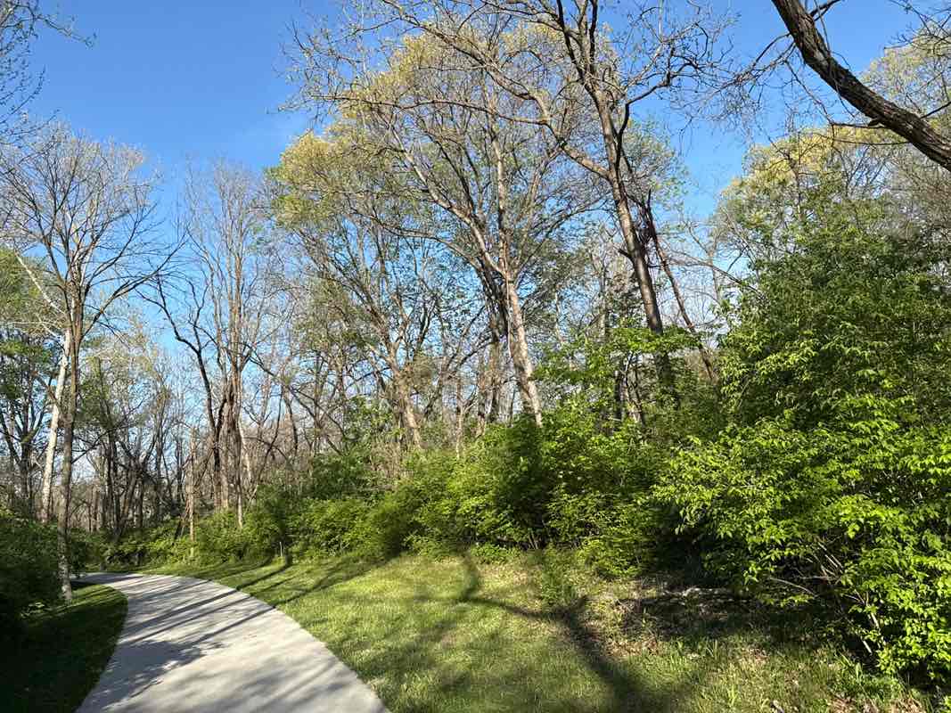walking near me in Woodbrooke Park in spring