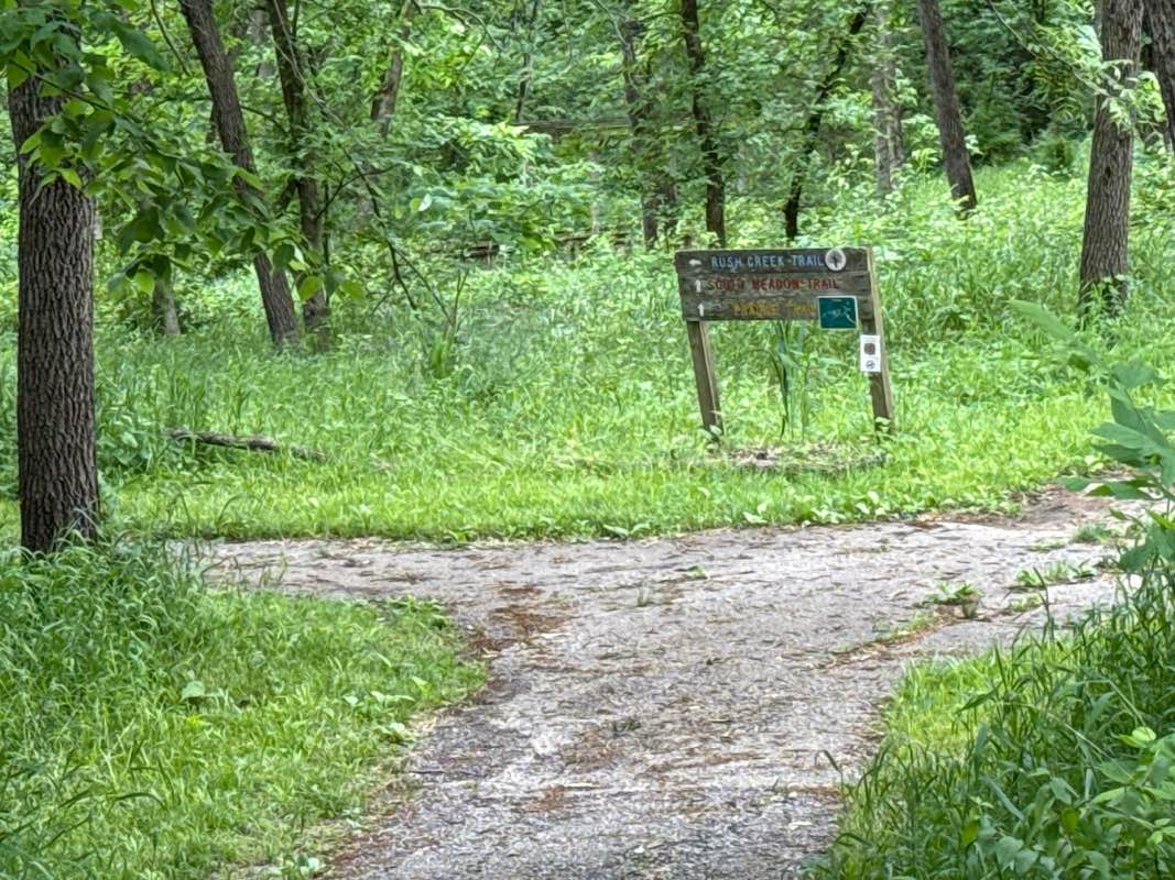 walking near me in Martha LaFite Thompson Nature Sanctuary in spring