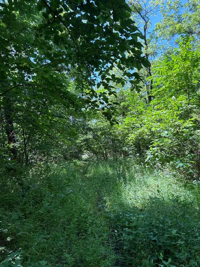 walking near me in Clinton State Park in summer