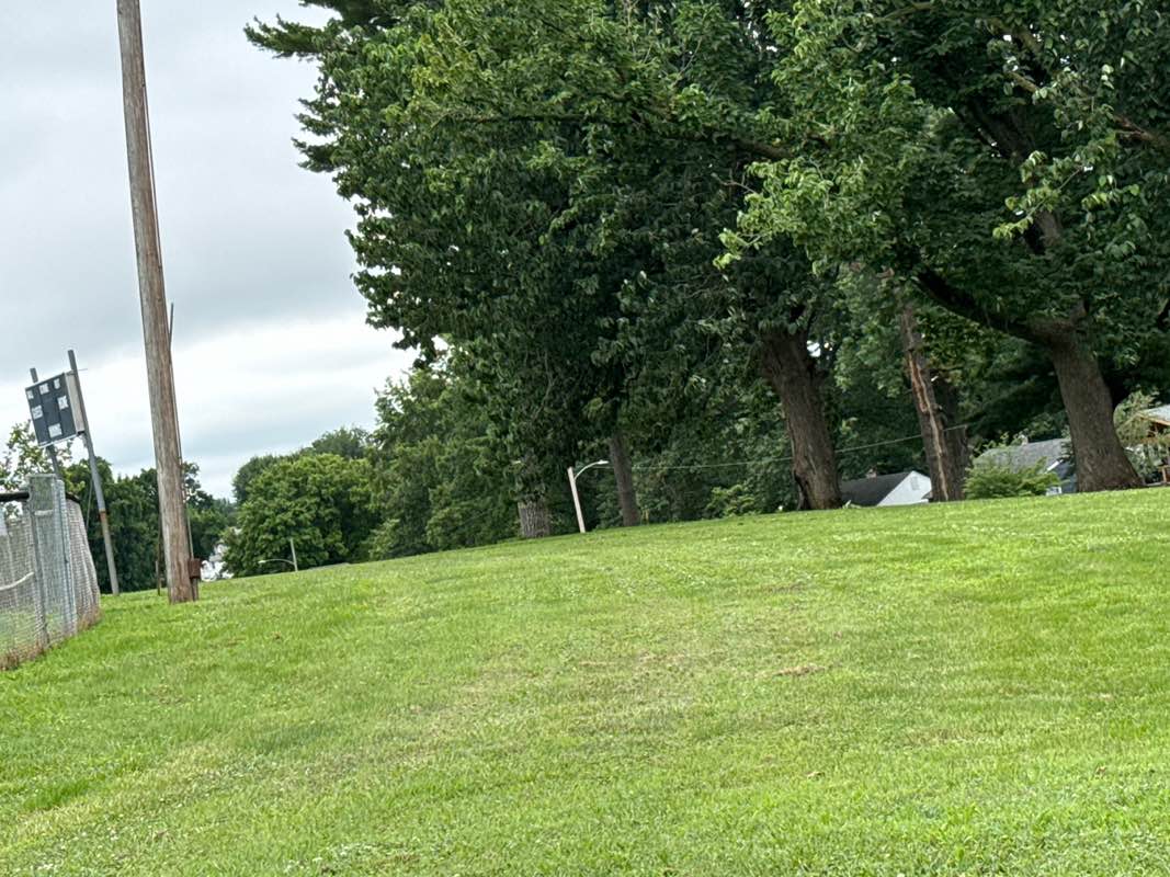 walking near me in Bartlett Park in summer
