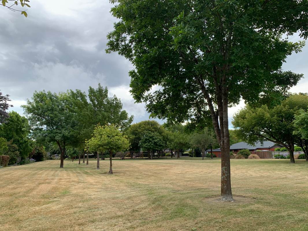 walking near me in Avonhead Park in summer