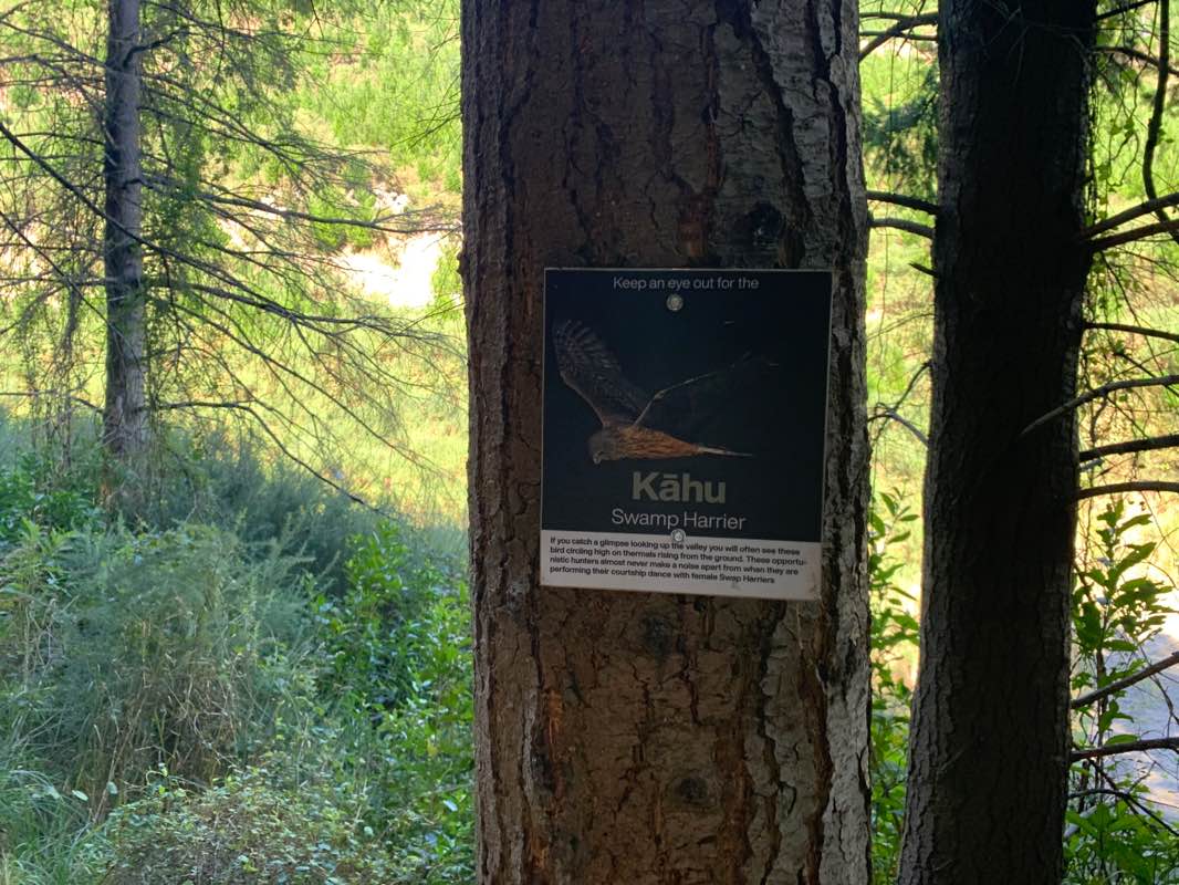 walking near me in Hagley Park South in summer