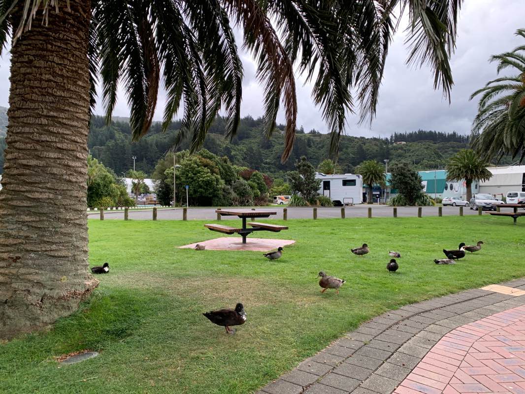walking near me in Victoria Domain Park in summer