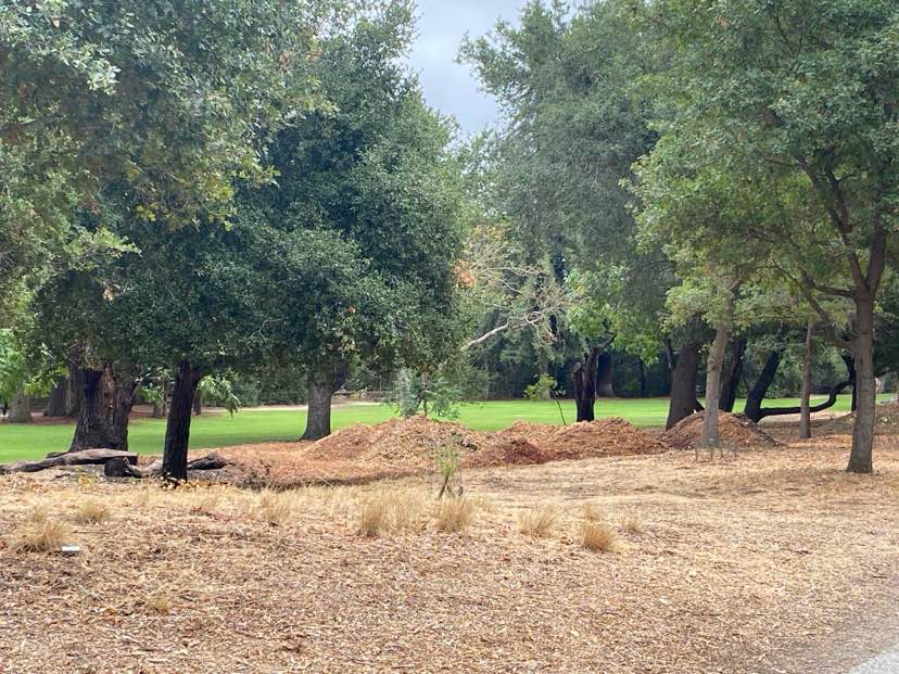 walking near me in Bol Park in autumn