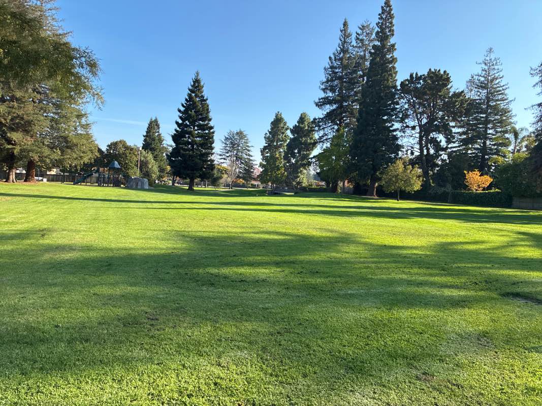 walking near me in Briones Park in autumn