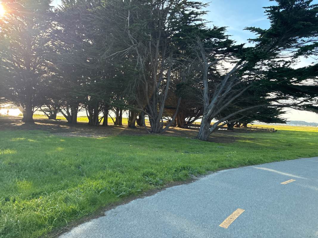 walking near me in Miranda Surf in winter