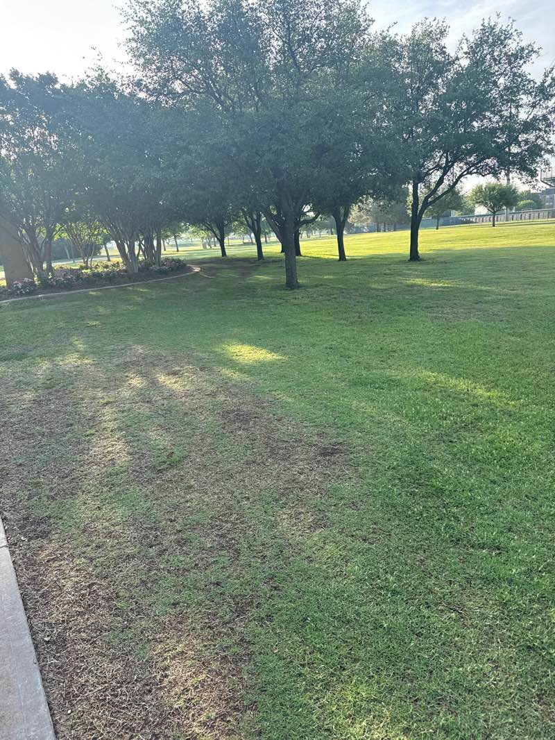 walking near me in Galaxy Park in spring