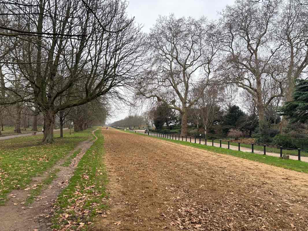 walking near me in Hyde Park in winter