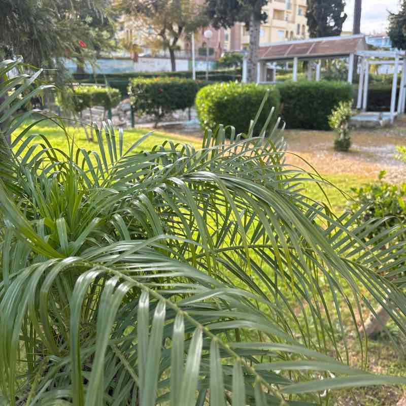 A Juicy Pixel Design. Welcome to the machine! post 1