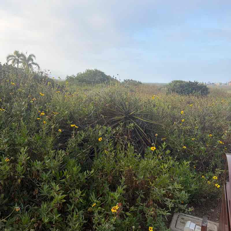 Oxte 🤘🏽🇵🇷🤘🏽 post 1