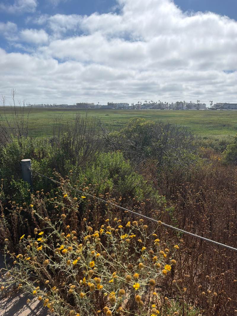 walking near me in Tijuana Slough National Wildlife Refuge in spring