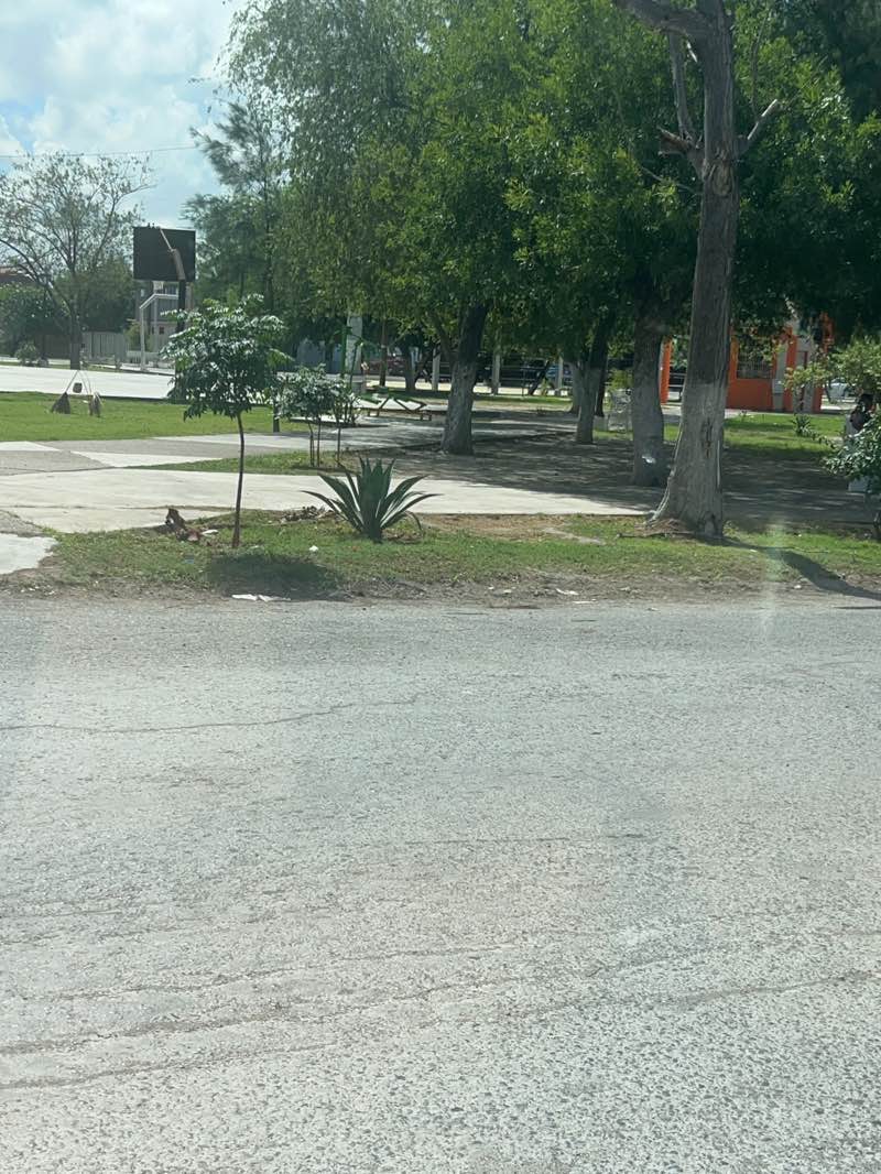 walking near me in Plaza Ignacio Zaragoza/ Plaza De Los Enamorados in summer