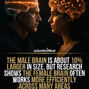 Nora Singapore profile