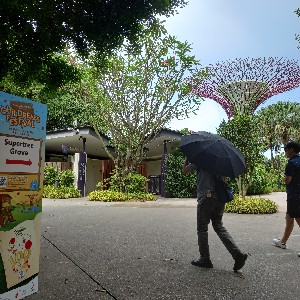 Nora Singapore 🇸🇬 ✌️