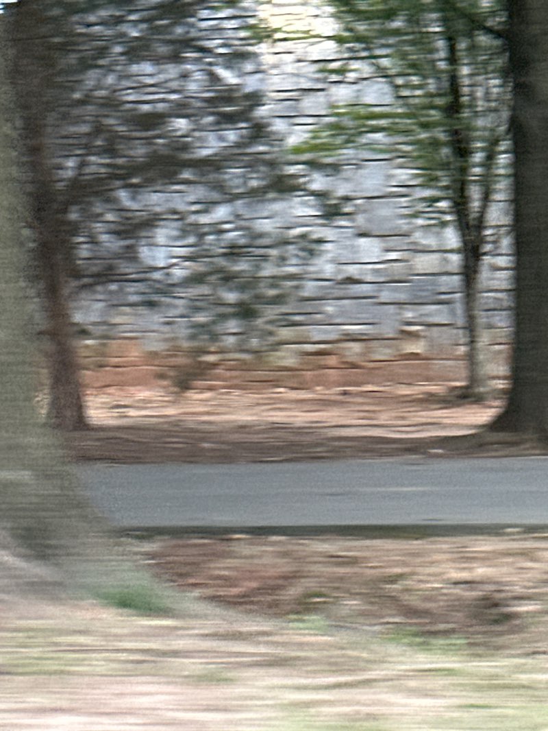 walking near me in Martin Luther King Jr. National Historic Site in summer