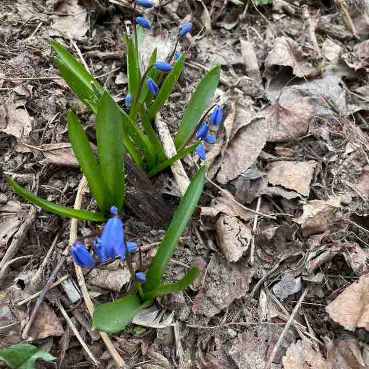 ТУСУР - Победный забег Лилия Осипова post image