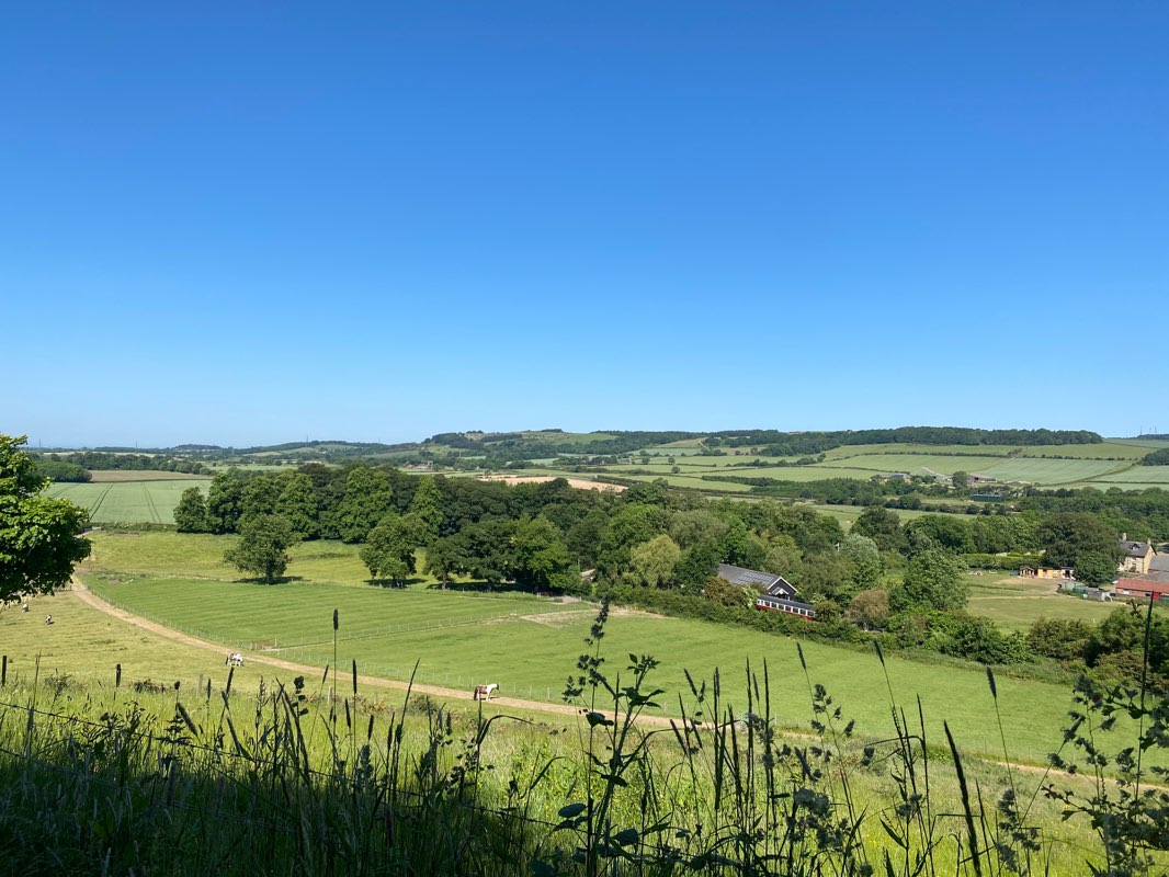 walking near me in Guisborough entrance park in winter