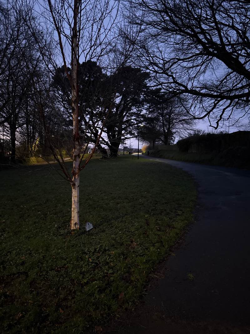 walking near me in Stanhope Park in winter