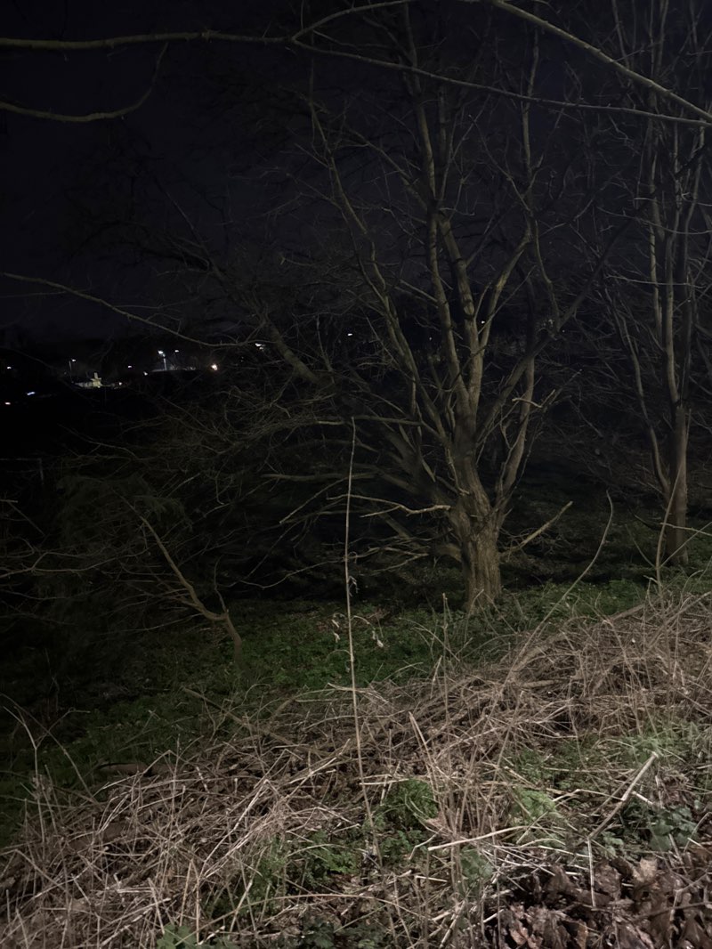walking near me in Saltisford Common in winter