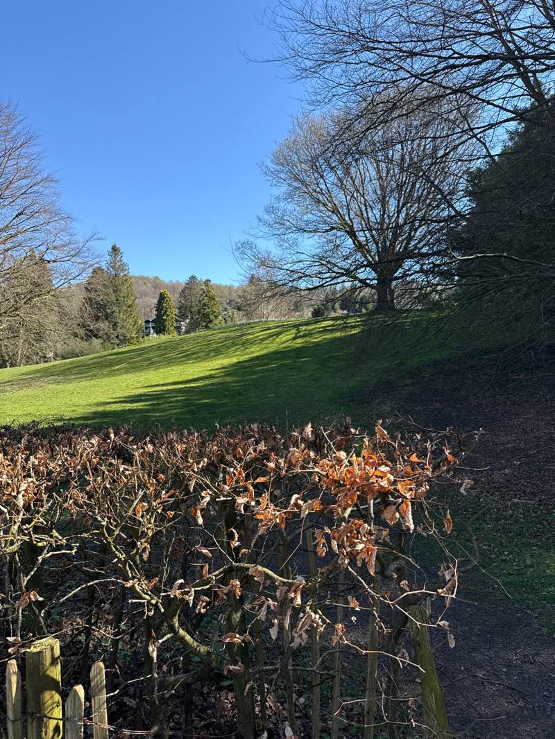 walking near me in Coronation Park in spring