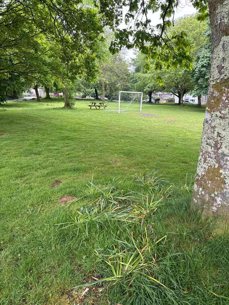 walking near me in Blisland Village Green in spring