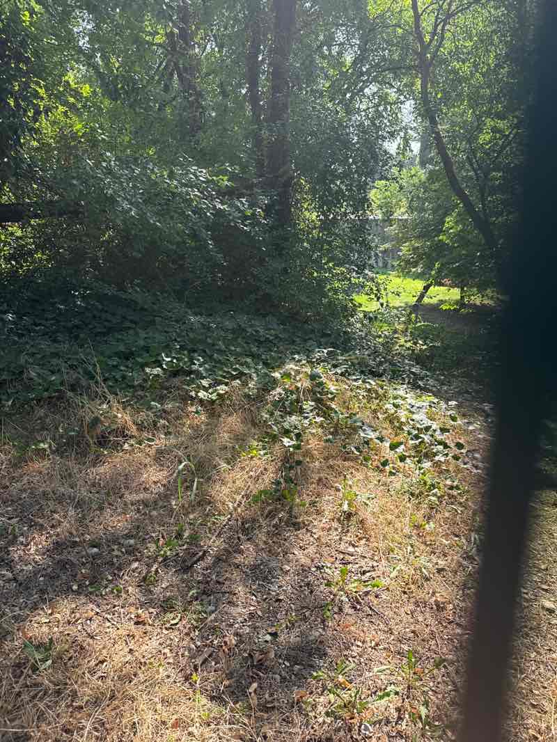 walking near me in Parco delle mura in autumn