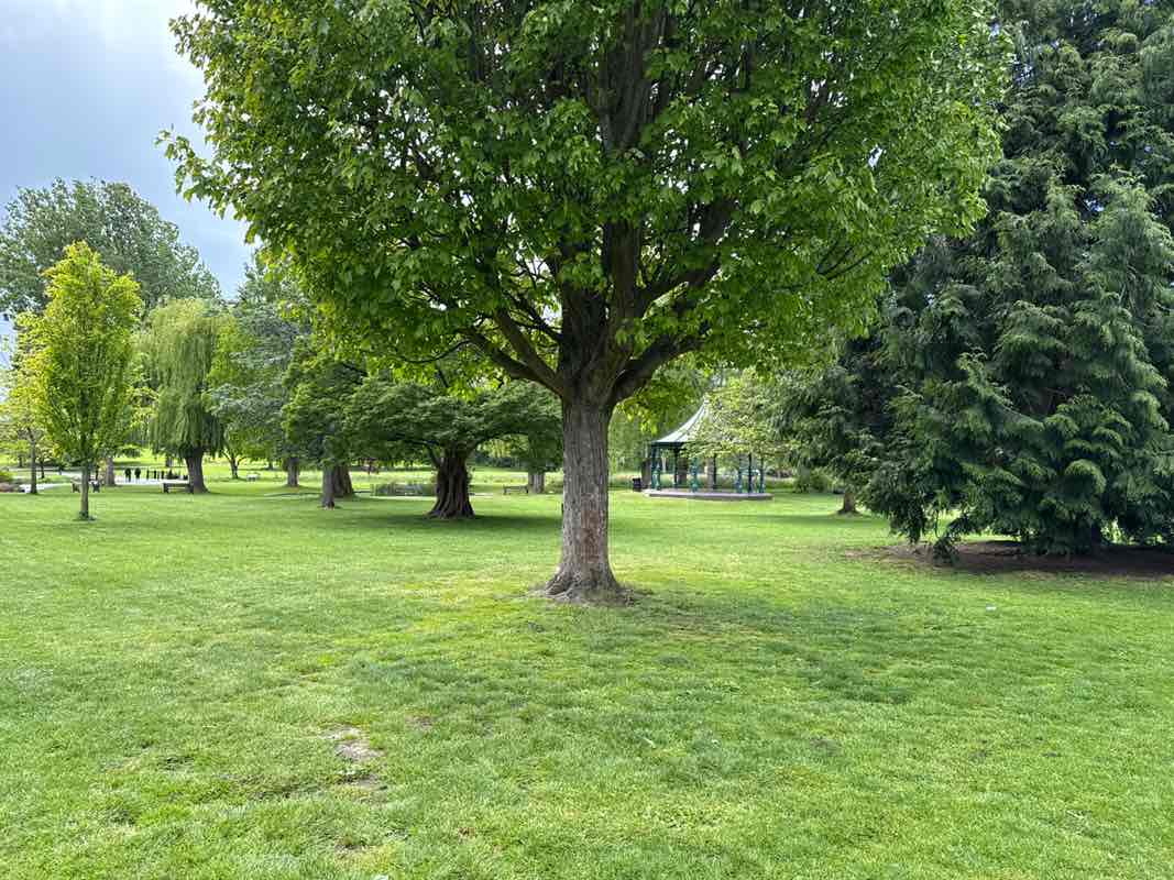 walking near me in Sanders Park in spring