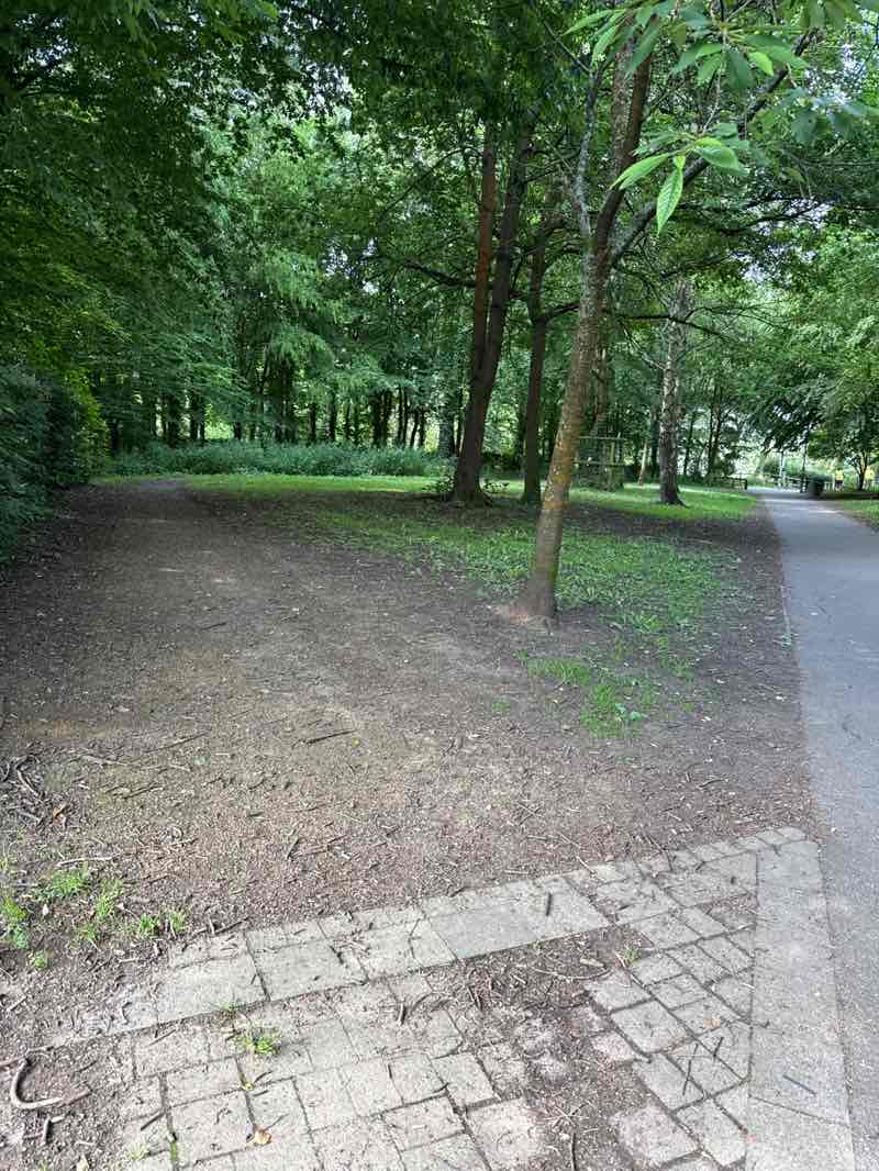 walking near me in Arrow Valley Country Park in summer