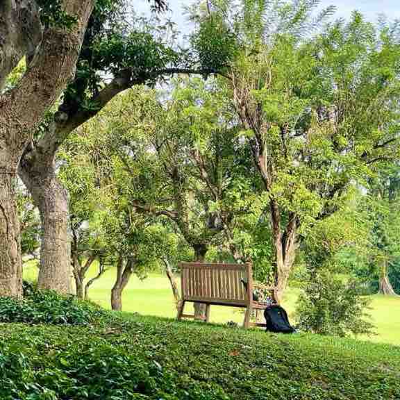 小明—2015 post 2