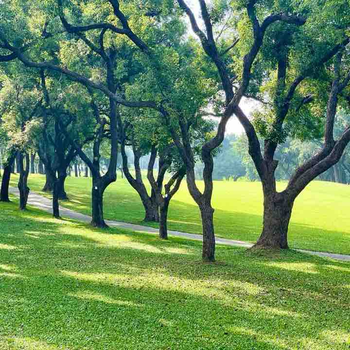 小明—2015 post 3