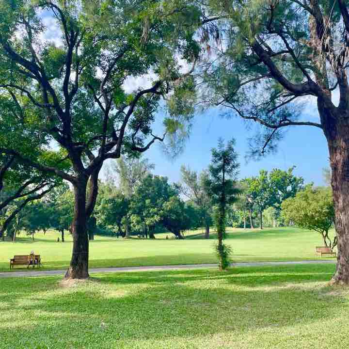 小明—2015 post 1