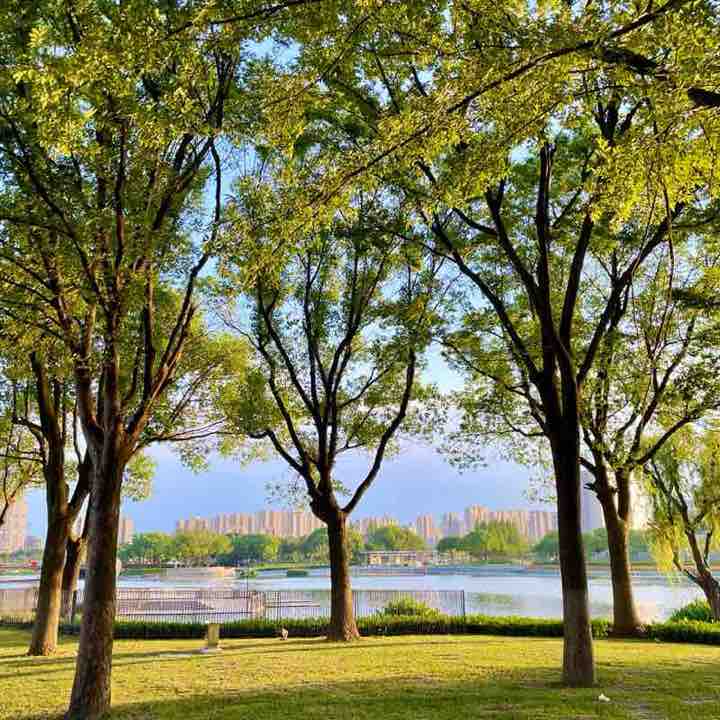 小明—2015 post 3