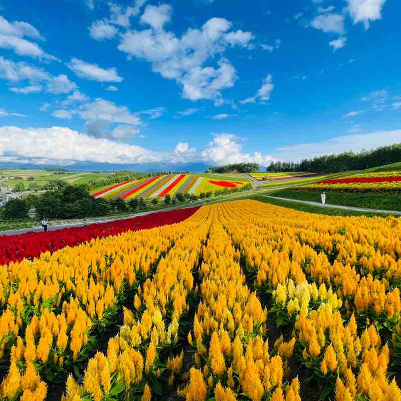 小明—2015 post 3