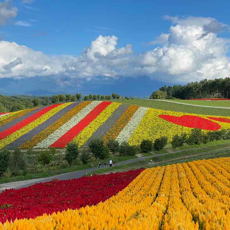 小明—2015 post 1