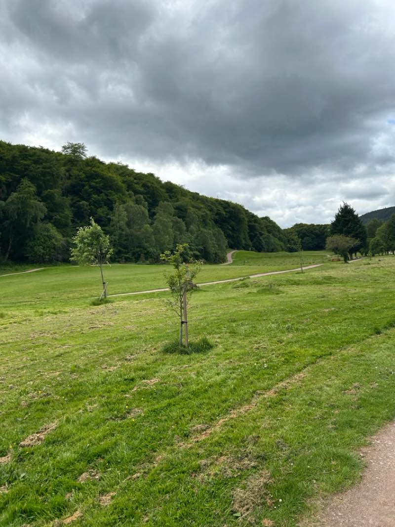 walking near me in Torvean Park in summer