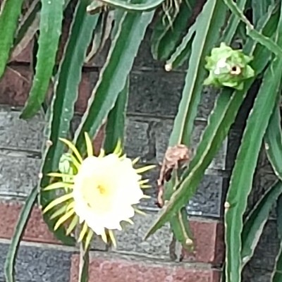 盈楹甲飽綺逃❤️ post 3