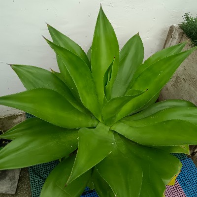 盈楹甲飽綺逃❤️ post 2