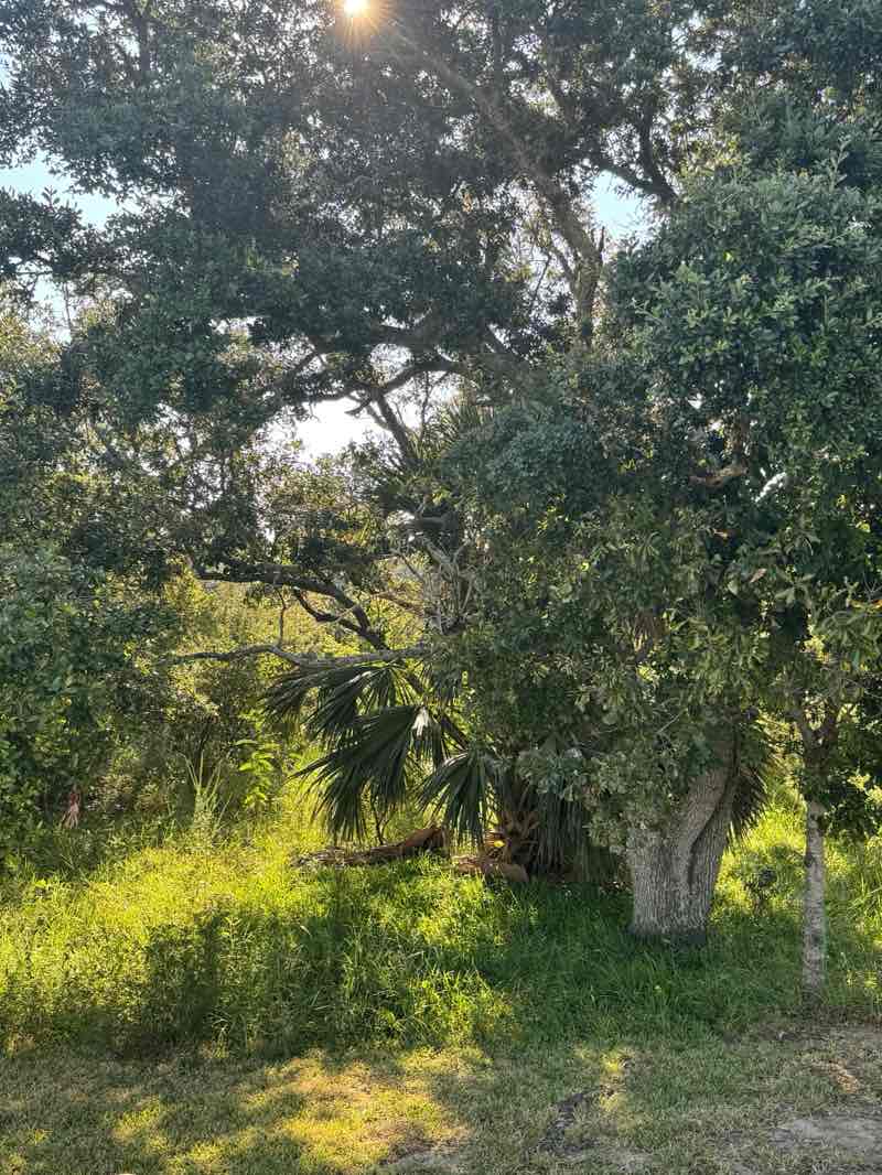 walking near me in Pascagoula Beach Park Recreational Area in autumn