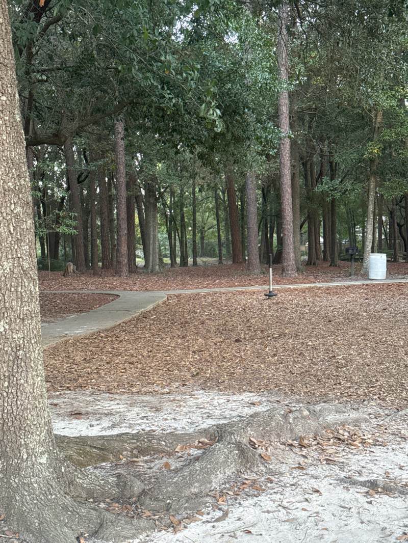 walking near me in I G Levy Memorial Park in autumn