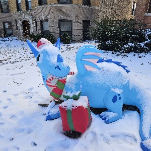 Windy City Girl🌍🏝✍️🏾🌺 profile