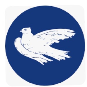 Miso Berlin Germany  ☮️ profile