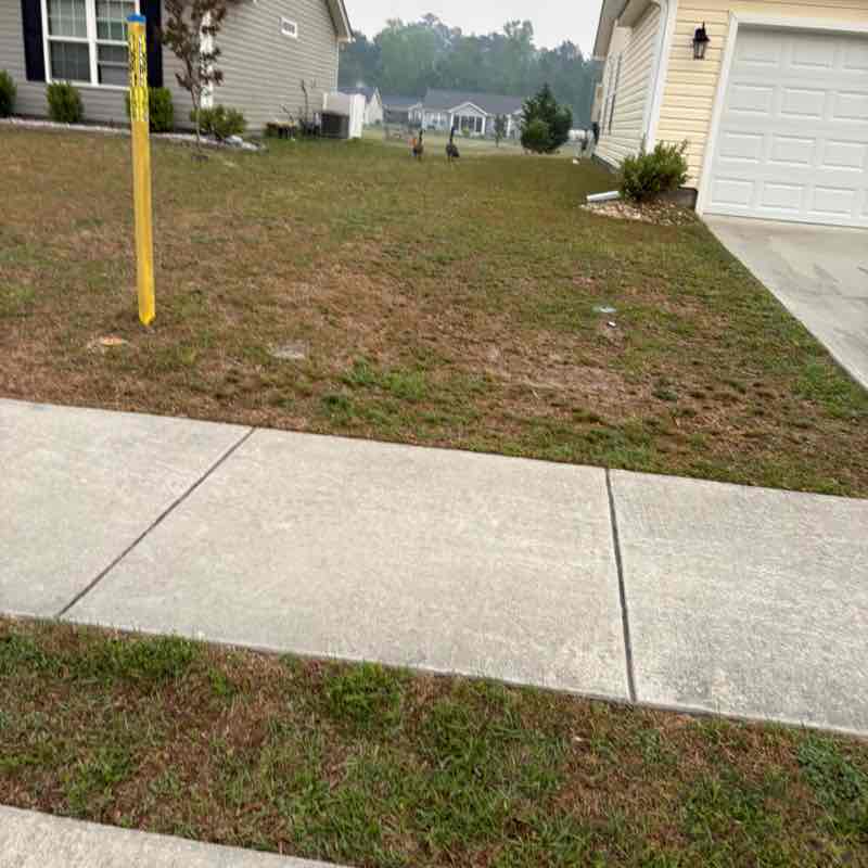 I ❤️ My Pets Dee post image