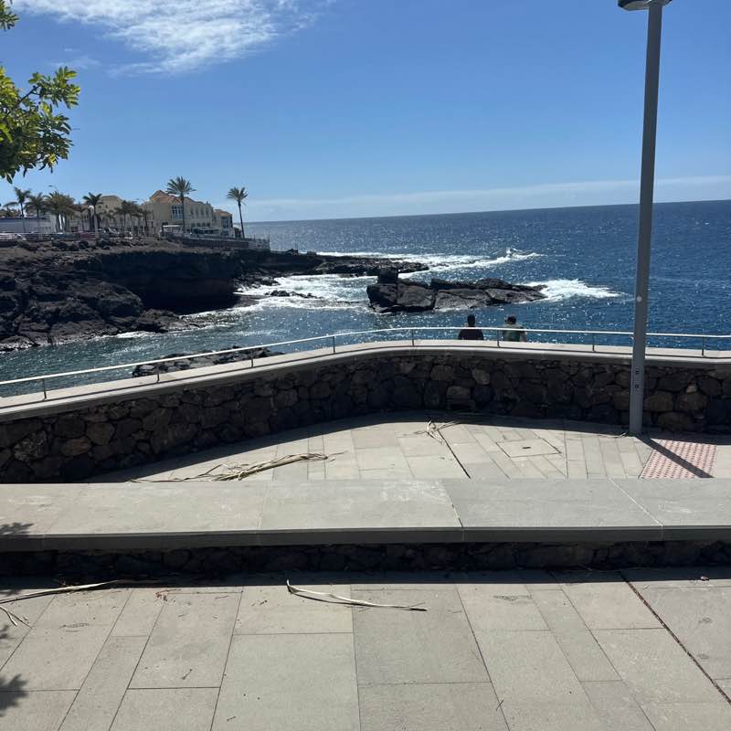 Paseando por los montes de Tenerife  Ivan Romualdo post image