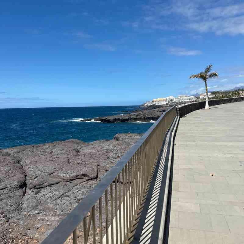 Paseando por los montes de Tenerife  Ivan Romualdo post image