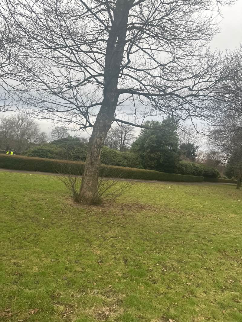 walking near me in Elder Park in winter