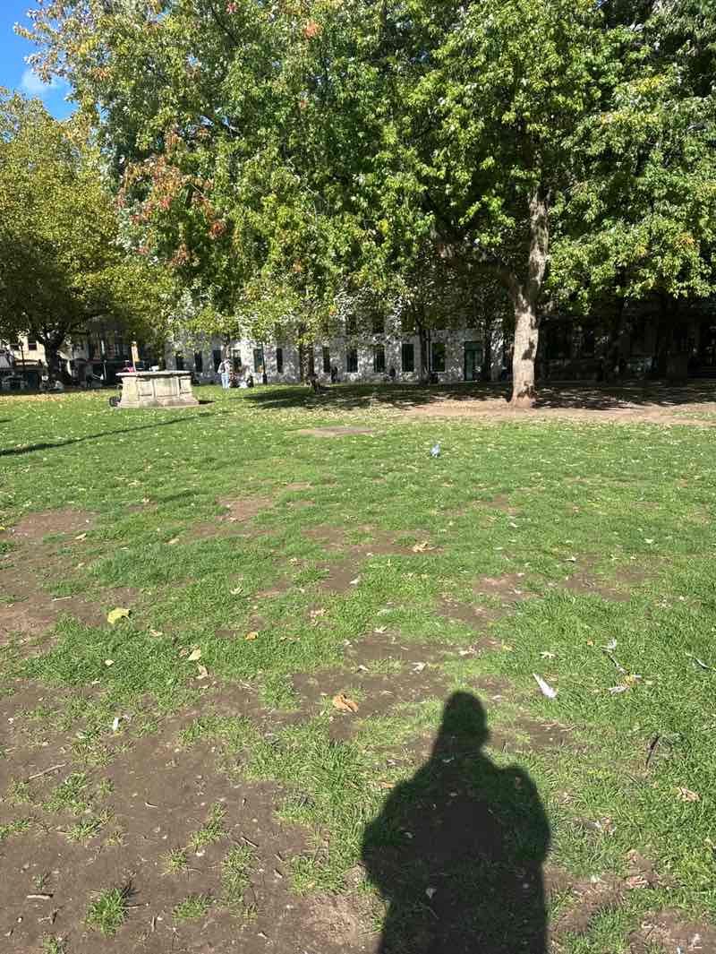 walking near me in Cathedral Square in autumn
