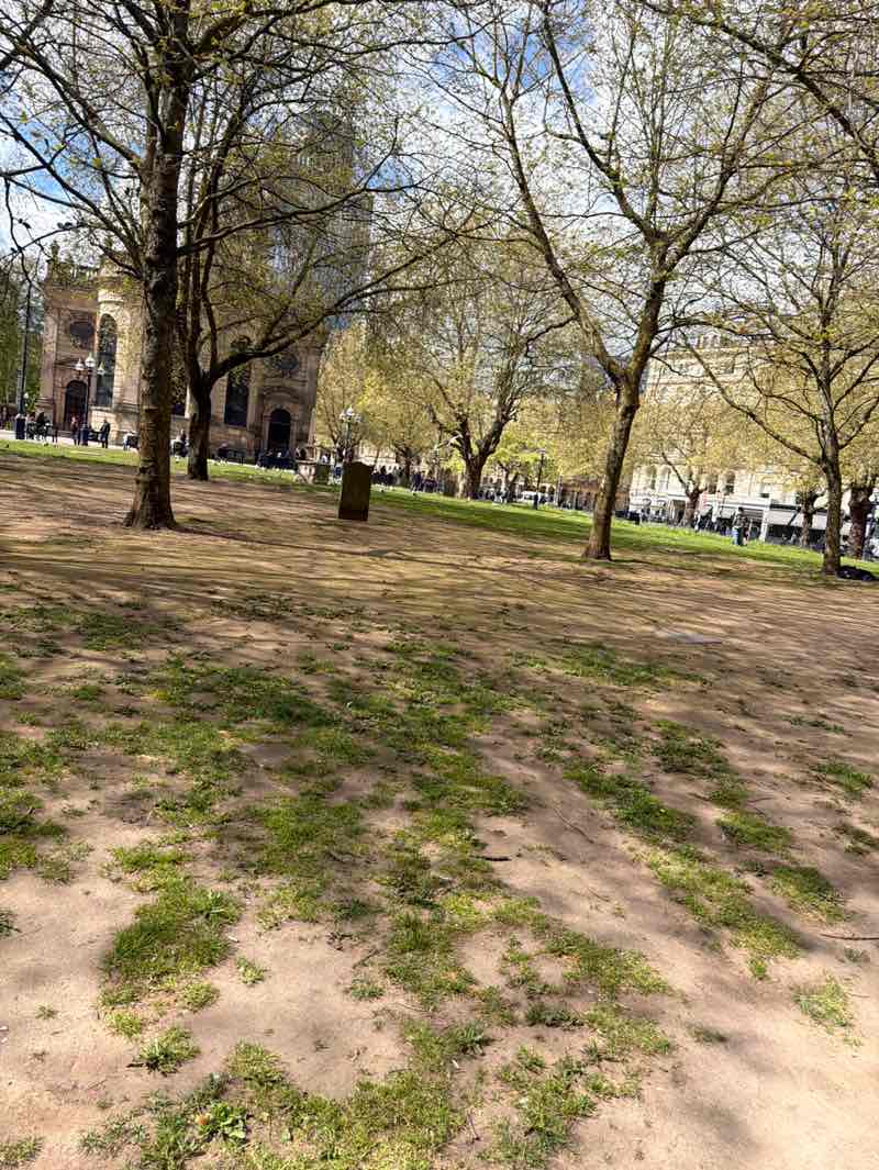 walking near me in Cathedral Square in spring