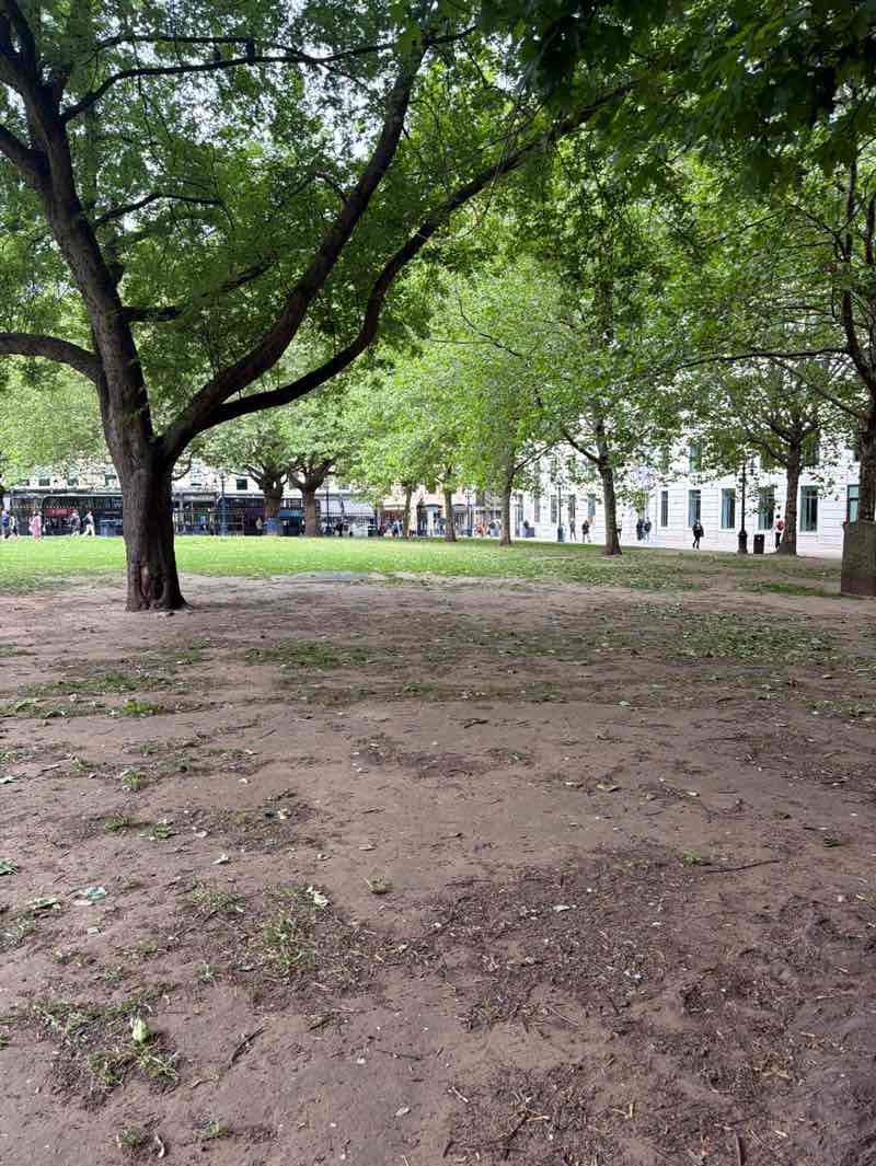 walking near me in Cathedral Square in summer