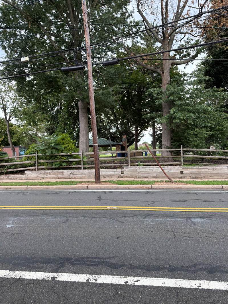 walking near me in Memorial Park in summer