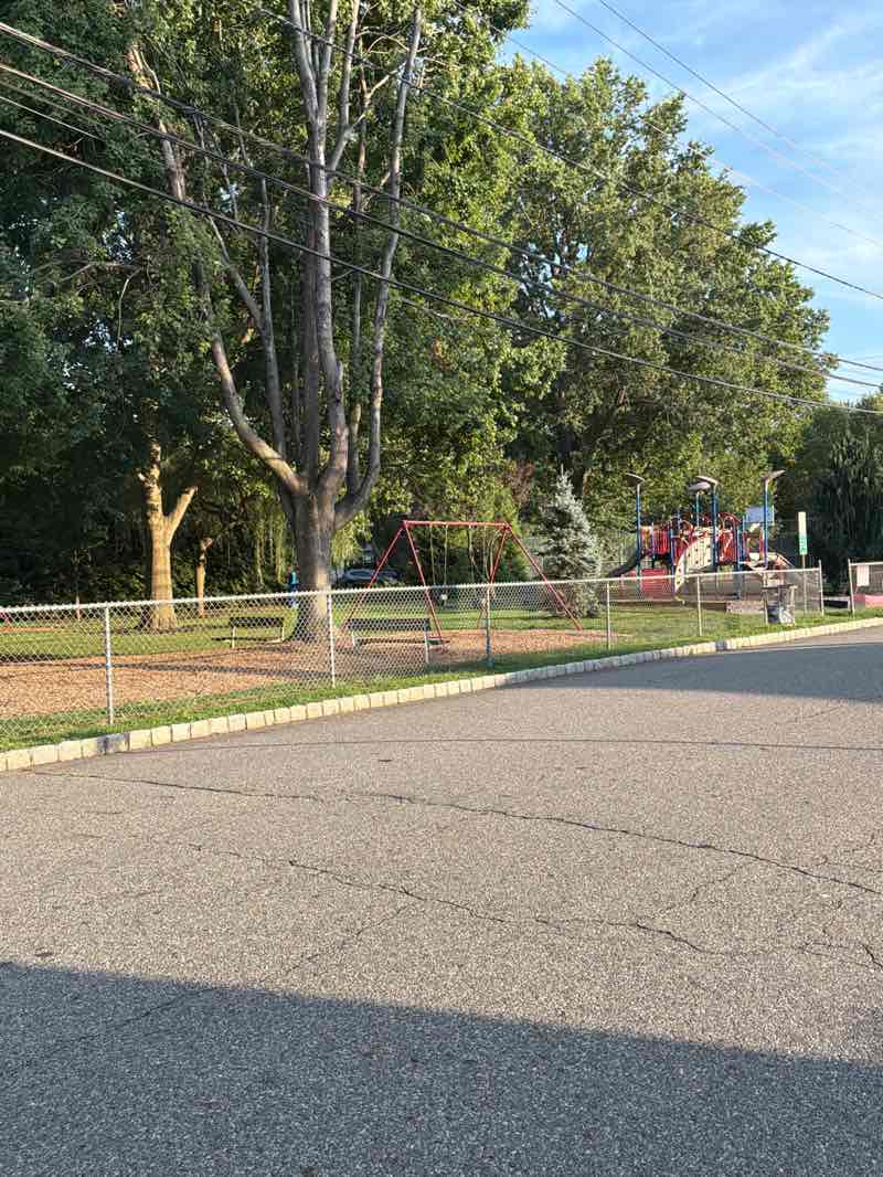 walking near me in Maple Avenue Park in summer